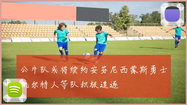 公牛队或将续约安芬尼西蒙斯勇士凯尔特人等队积极追逐