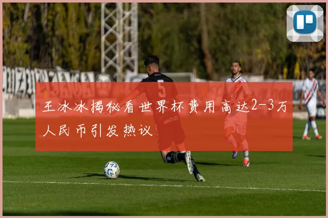 王冰冰揭秘看世界杯费用高达2-3万人民币引发热议