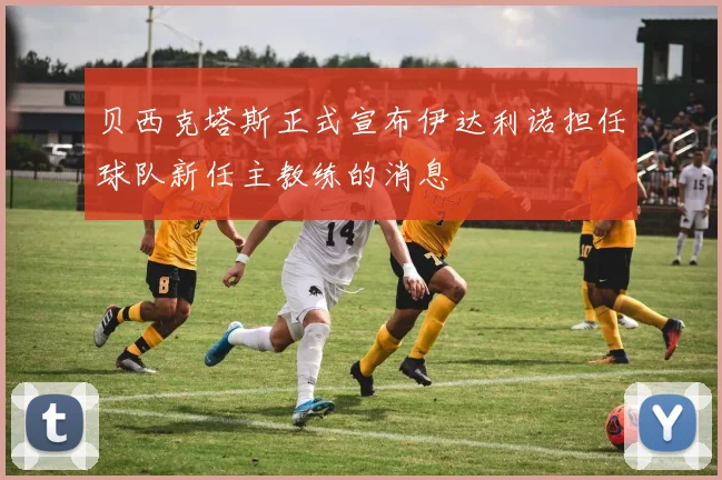 贝西克塔斯正式宣布伊达利诺担任球队新任主教练的消息